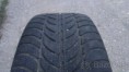 205/55 R16 zimne Sava Eskimo